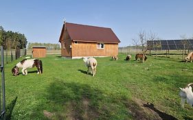 Eurostruś - zoo, domki